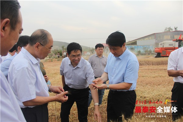 0.560186805464414.jpg 0.560186805464414.jpg