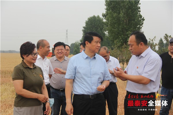 0.106485682589228.jpg 0.106485682589228.jpg