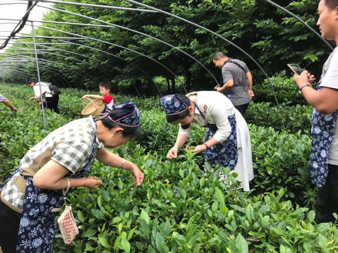 微信图片_20210519140232.jpg 微信图片_20210519140232.jpg