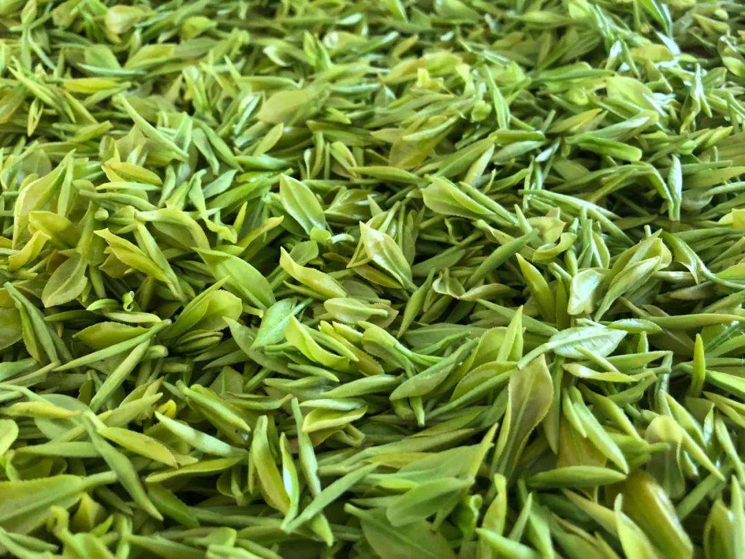 微信图片_20210519140238.jpg 微信图片_20210519140238.jpg